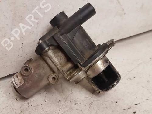 EGR-Ventil RENAULT CLIO III (BR0/1, CR0/1) [2005-2014]  28987879