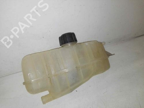 Used Expansion tank RENAULT CLIO III (BR0/1, CR0/1) [2005-2014]  28978060