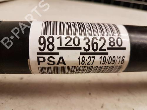 Left front driveshaft CITROËN C-ELYSEE (DD_) | BP28991213M38