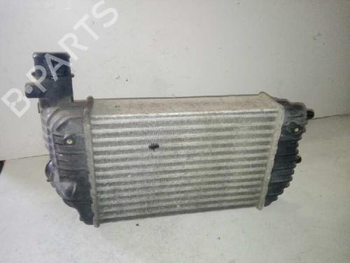 Intercooler CITROËN JUMPER I Van (244)  | BP29000059M30 