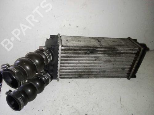 Used Intercooler PEUGEOT 307 (3A/C) 1.6 HDi (90 hp) 29000052