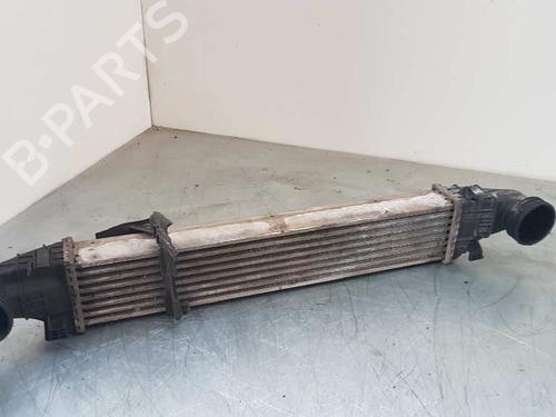 Ladeluftkühler für MERCEDES-BENZ E-CLASS (W211) [2002-2009]  29000108