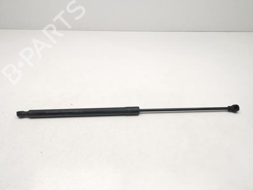 Gasfjeder motorhjelm DACIA SANDERO II [2012-2025]  31097975