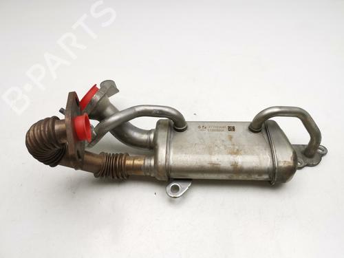 EGR Ventil RENAULT CLIO II (BB_, CB_) [1998-2016]  28984994