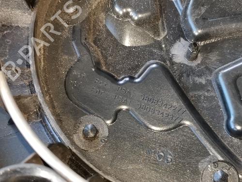 Hub cap PEUGEOT PARTNER Box Body/MPV (K9)  | BP29289439C160 