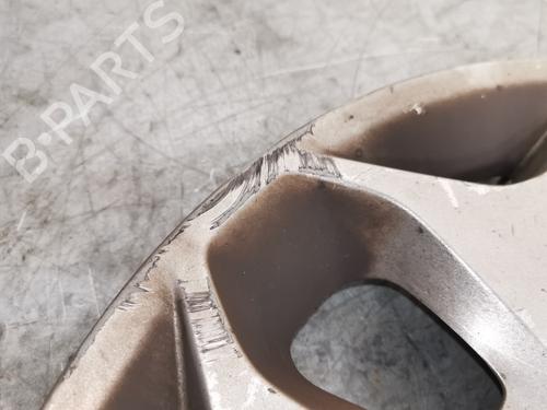 Hub cap FORD TRANSIT CONNECT V408 Box Body/MPV  | BP29941841C160