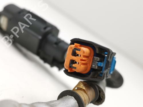 Pipe NISSAN QASHQAI II (J11, J11_)  | BP29329535M125 