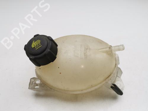 Used Expansion tank RENAULT CAPTUR I (J5_, H5_) [2013-2025]  29565699