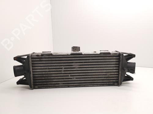 Used Intercooler IVECO DAILY IV Bus [2006-2016]  28999978