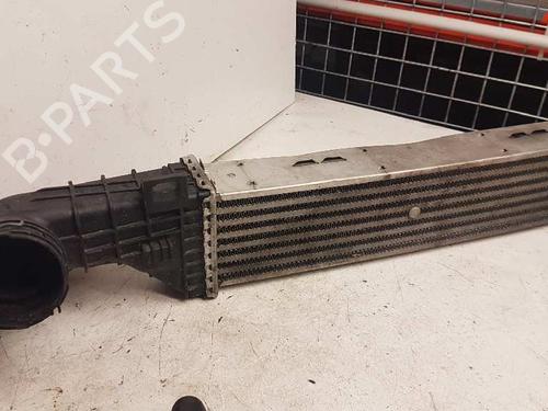 Used Intercooler MERCEDES-BENZ E-CLASS (W210) E 320 CDI (210.026) (197 hp) 29000098