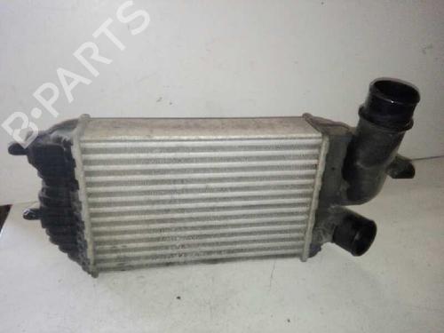 Used Intercooler CITROËN JUMPER I Van (244) [2002-2025]  29000059