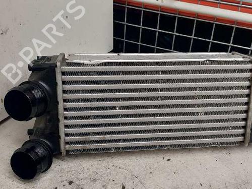 Intercooler PEUGEOT 3008 I MPV (0U_) [2009-2017]  29000055