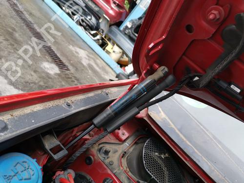 Hood lift support BMW 1 (F20)  | BP29289592C139 