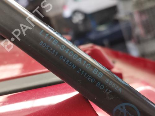Tailgate lift support FORD PUMA (J2K, CF7) | BP33208014C138 - Image 3