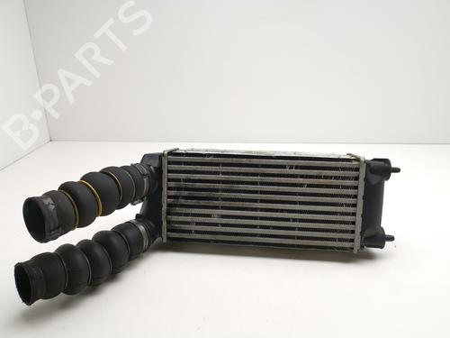 Ladeluftkühler für CITROËN BERLINGO MULTISPACE (B9) 1.6 BlueHDi 100 (99 hp) 29000031