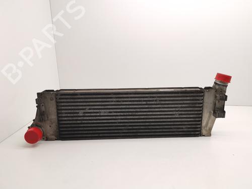 Ladeluftkühler für RENAULT GRAND SCÉNIC II (JM0/1_) 1.5 dCi (JM02, JM13) (101 hp) 28999992