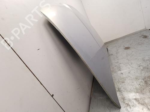 Hood SEAT LEON (1M1)  | BP28991279C1 