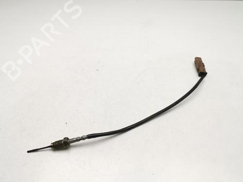 Elektronische sonde PEUGEOT 3008 I MPV (0U_) [2009-2017]  30000242