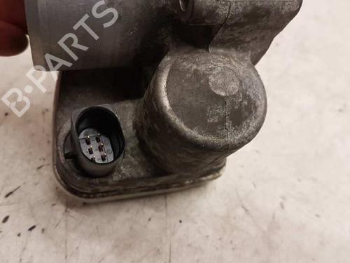 Throttle body RENAULT MEGANE II (BM0/1_, CM0/1_) | BP28987864M82