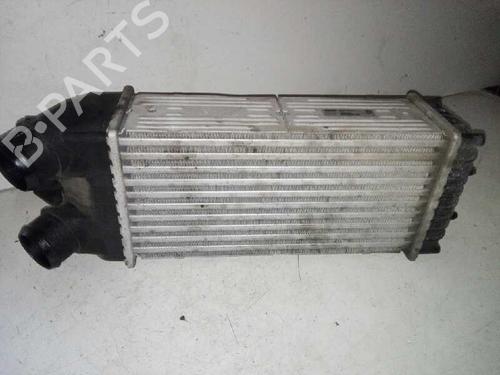 Used Intercooler CITROËN BERLINGO / BERLINGO FIRST MPV (MF_, GJK_, GFK_) 1.6 HDI 75 (MF9HW, GJ9HWC, GF9HWC, GN9HWC) (75 hp) 29000060
