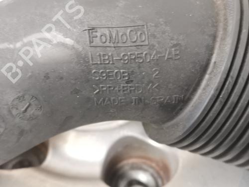 Pipe FORD PUMA (J2K, CF7) 1.0 EcoBoost | BP40256489M125 - Image 3