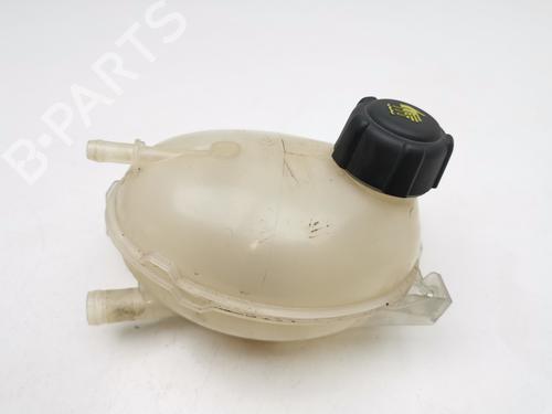 Used Expansion tank RENAULT CLIO IV (BH_) [2012-2021]  28978025
