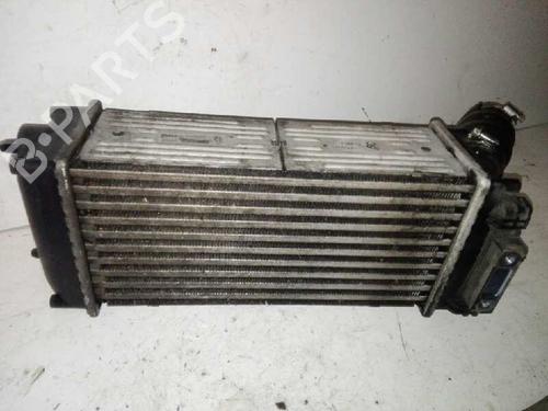 Intercooler PEUGEOT 307 (3A/C) 1.6 HDi | BP29000052M30 