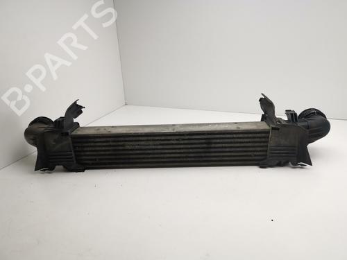 Intercooler MERCEDES-BENZ E-CLASS (W211) E 270 CDI (211.016) | BP29000074M30 
