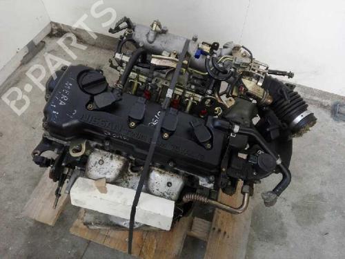 Used Engine NISSAN ALMERA II Hatchback (N16) 1.5 (90 hp) 28999595