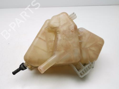 Expansion tank FORD FIESTA VI (CB1, CCN)  | BP29185755C120 