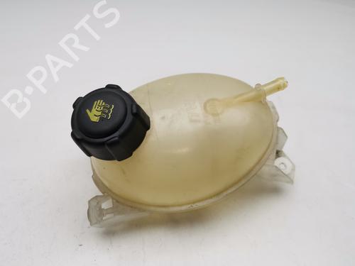Used Expansion tank DACIA SANDERO II [2012-2025]  28978063