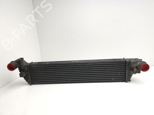 Intercooler RENAULT LAGUNA II Grandtour (KG0/1_) 2.2 dCi (KG0F, KG1N) (140 hp) 29000402