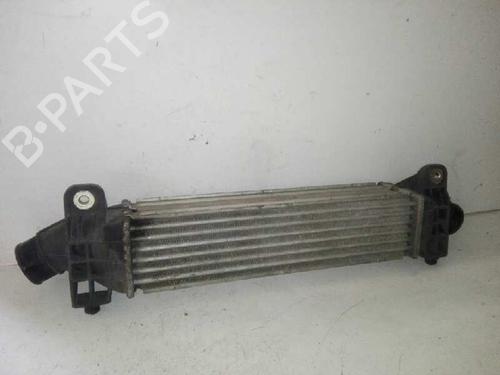 Used Intercooler FORD MONDEO III (B5Y) 2.0 TDCi (130 hp) 29000085