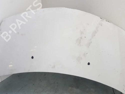 Used Hood RENAULT CLIO III (BR0/1, CR0/1) 1.5 dCi (BR17, CR17) (86 hp) 28992203