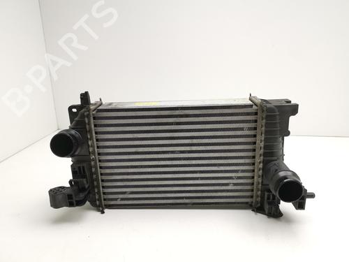 Intercooler OPEL MERIVA B MPV (S10) 1.6 CDTI (75) (110 hp) 28999974