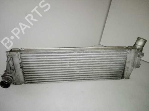 Used Intercooler RENAULT MEGANE II Estate (KM0/1_) 1.9 dCi (KMRG, KM1G, KM0G, KM2C) (120 hp) 28999987