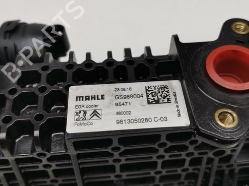 Egr FORD KUGA III (DFK)  | BP29751740M69