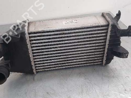 Intercooler OPEL ASTRA H (A04) [2004-2014]  29000009