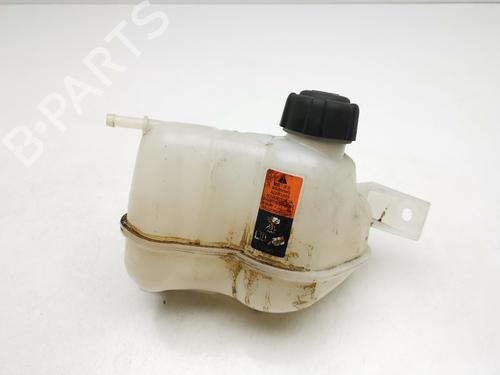 Used Expansion tank NISSAN QASHQAI II (J11, J11_) [2013-2025]  29331720