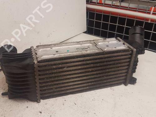 Intercooler PEUGEOT 407 (6D_) 2.0 (6DRFNB, 6DRFNE) | BP29000042M30