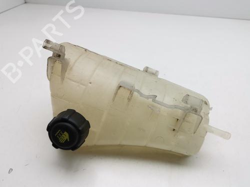 Used Expansion tank RENAULT KANGOO / GRAND KANGOO II (KW0/1_) 1.5 dCi 90 (KW05, KW08, KW0G, KW11) (90 hp) 29731564