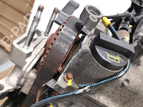 Engine FIAT 500 (312_) 1.2 (312AXA1A) | BP29855994M1