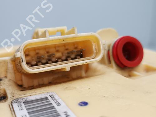 Fuel pump FORD TRANSIT CONNECT V408 Box Body/MPV  | BP29941833M76 