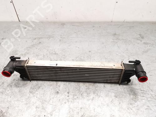 Used Intercooler FIAT TIPO Hatchback (356_, 357_) [2016-2025]  29715759