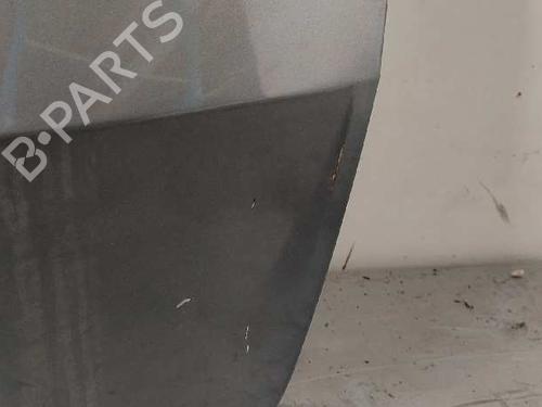 Tailgate RENAULT CLIO III (BR0/1, CR0/1)  | BP28992832C6 