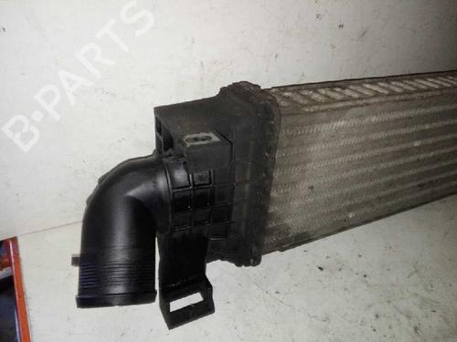 Intercooler FORD FOCUS II (DA_, HCP, DP) | BP29000086M30