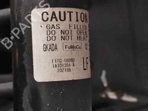 Left rear shock absorber FORD PUMA (J2K, CF7) | BP31813365M18