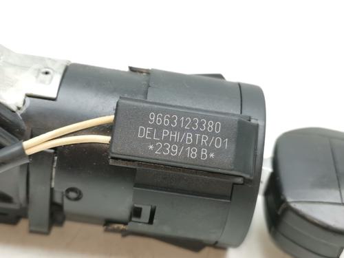 Electronic module PEUGEOT PARTNER Box Body/MPV (K9)  | BP29489189M83 