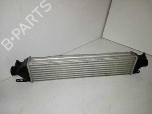 Used Intercooler FIAT BRAVO II (198_) 1.6 D Multijet (198AXH1B) (105 hp) 29000066