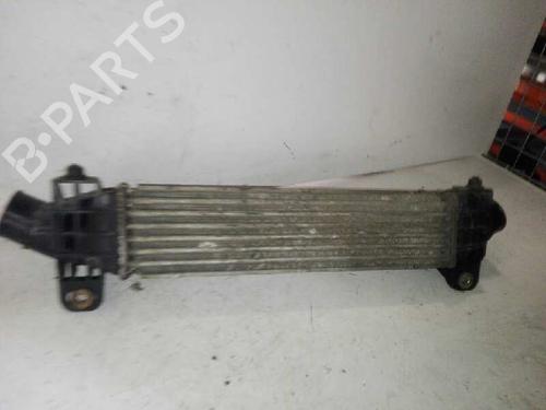 Used Intercooler FORD MONDEO III (B5Y) 2.0 TDCi (130 hp) 29000077